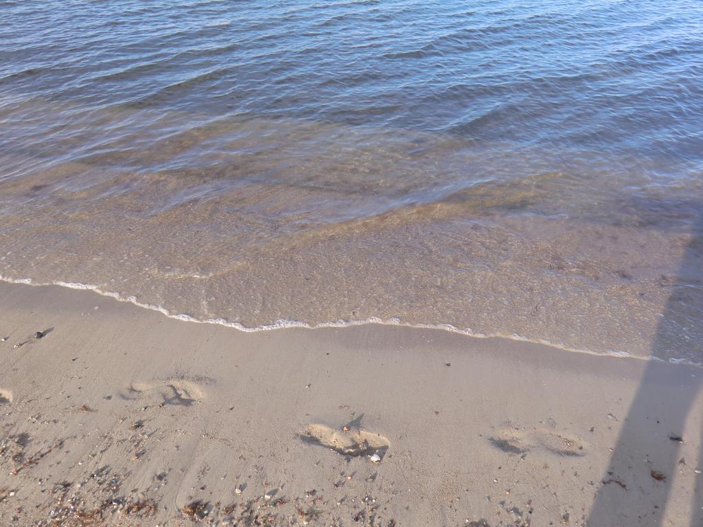 Böltser Hus Ferienwohnungen mit Strandkorb und Kamin 10 Gehminuten zum kurtaxefreien Sandstrand Kraksdorf Exterior foto